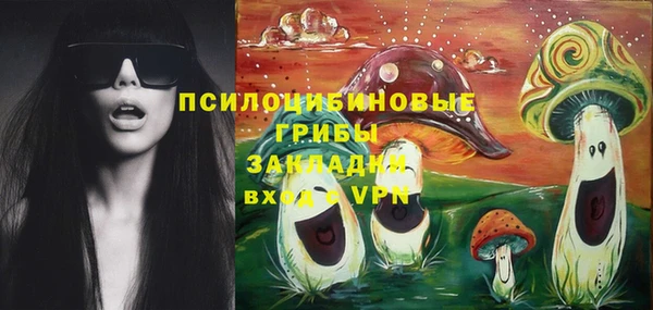 бошки Алексеевка