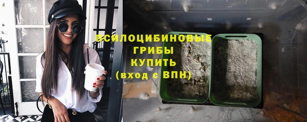 бошки Алексеевка