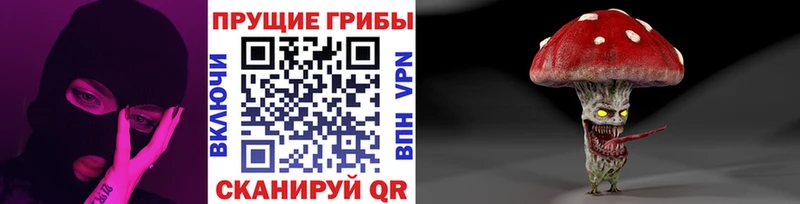 Галлюциногенные грибы Magic Shrooms  Гдов 