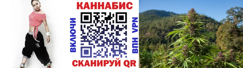 Канабис MAZAR Гдов