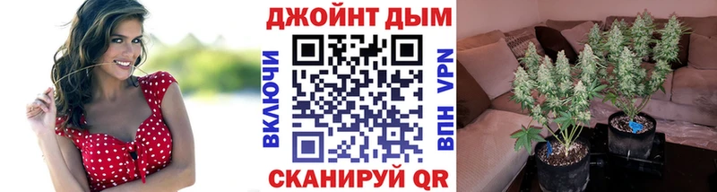 blacksprut зеркало  Гдов  Бошки марихуана сатива 